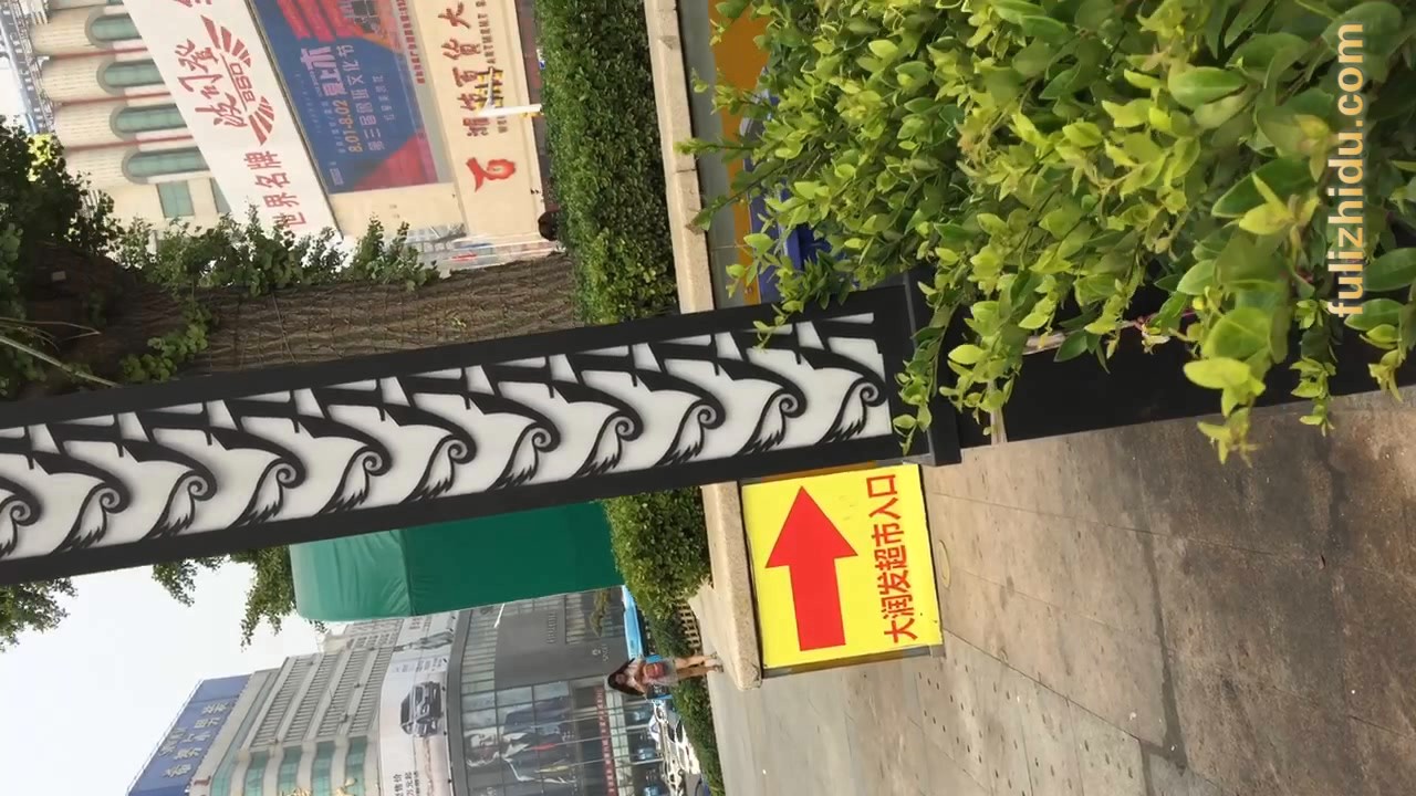 电梯上对头涂鸦穿裙子的少妇